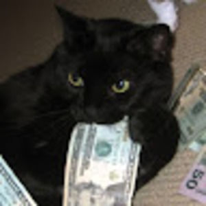 Meet your Posher, Ziling